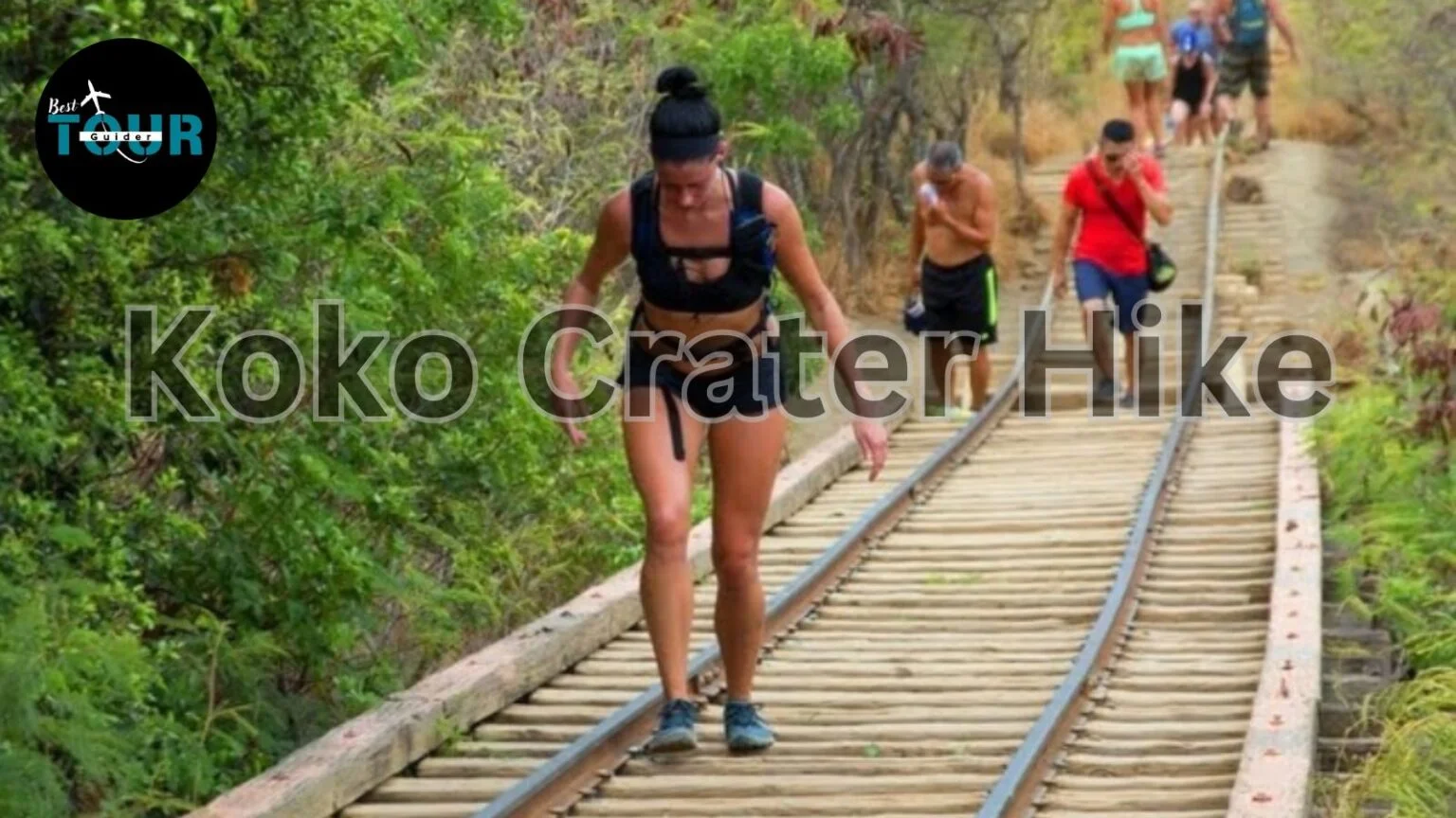 What to Expect at the Trail