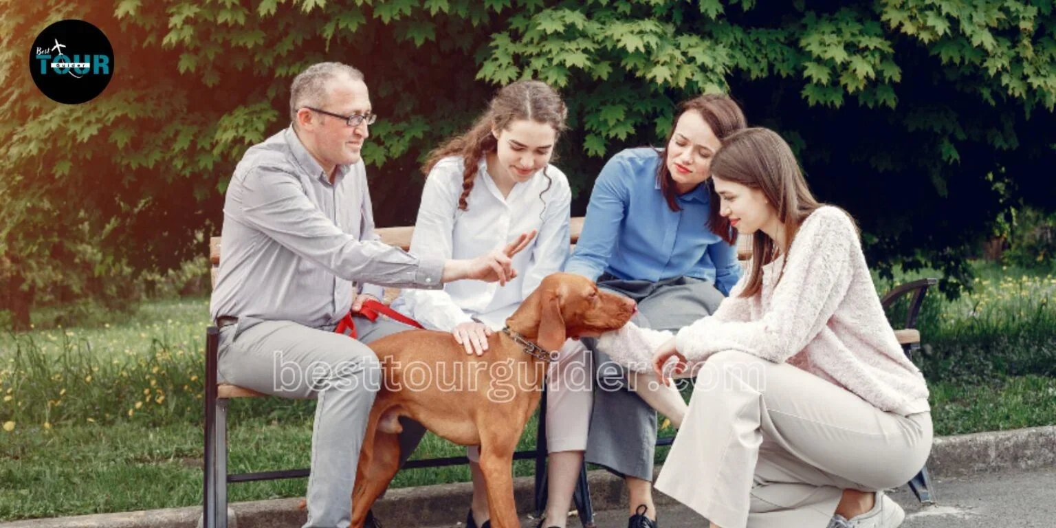 Family and Dog-Friendly Aspects bull creek district park