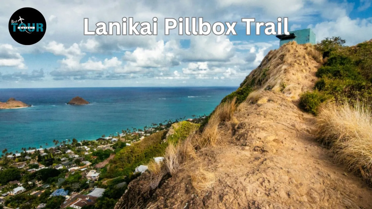 What to Expect at the Trail