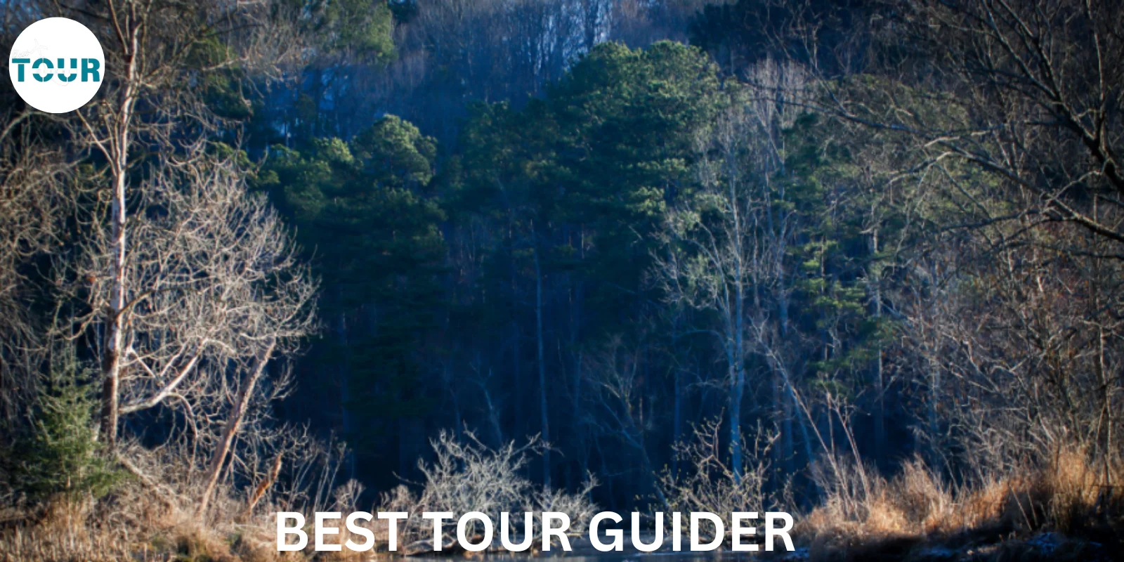 Explore the Chattahoochee National Forest