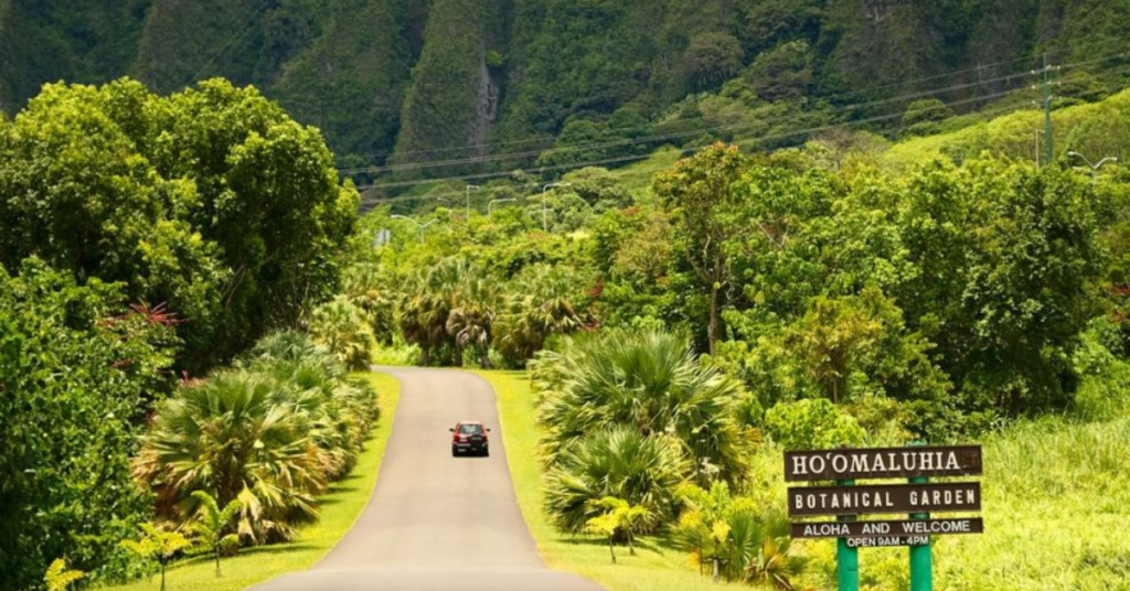 Exploring Hoʻomaluhia Botanical Garden: A Serene Oasis in Oahu