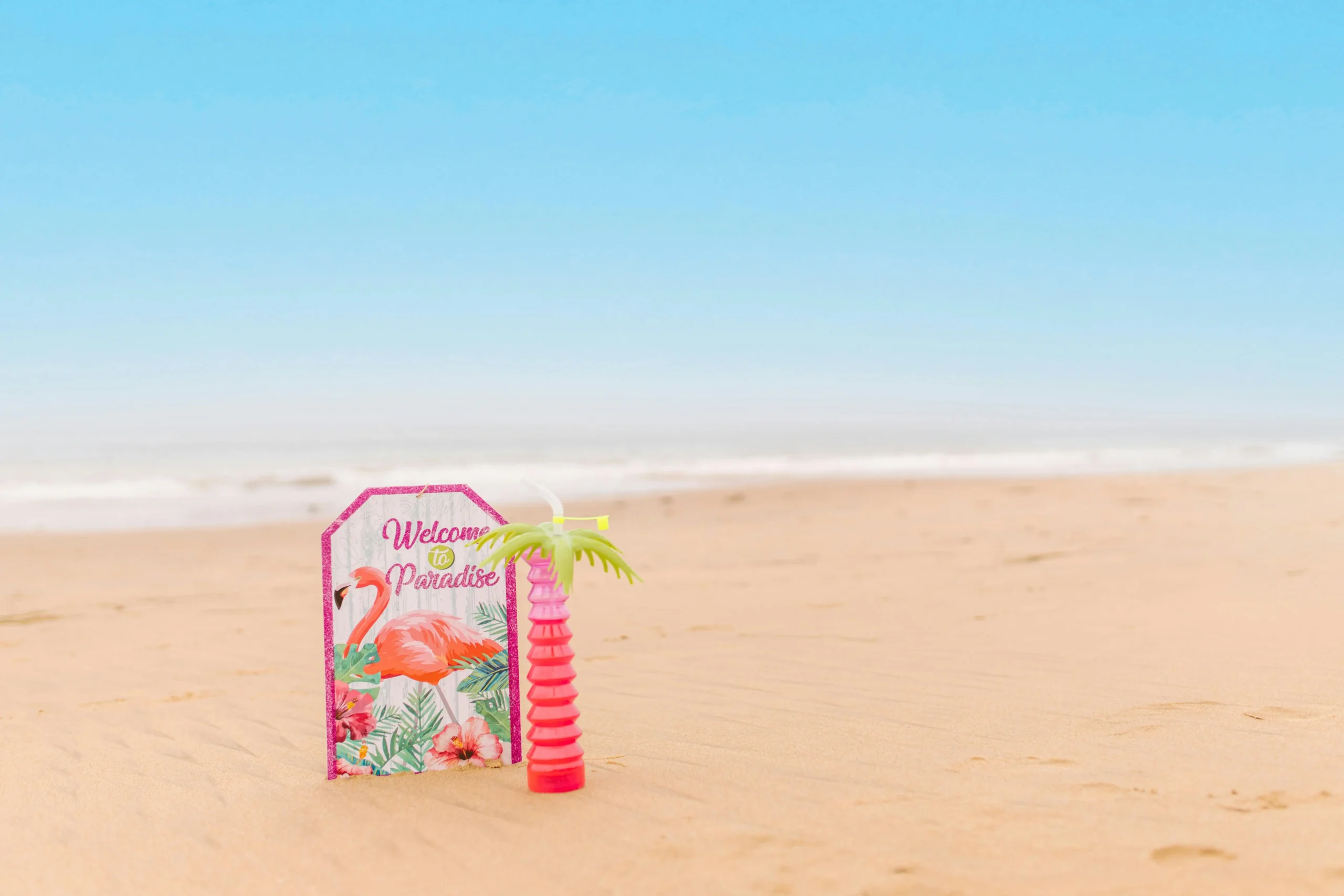 Flamingo-Beach