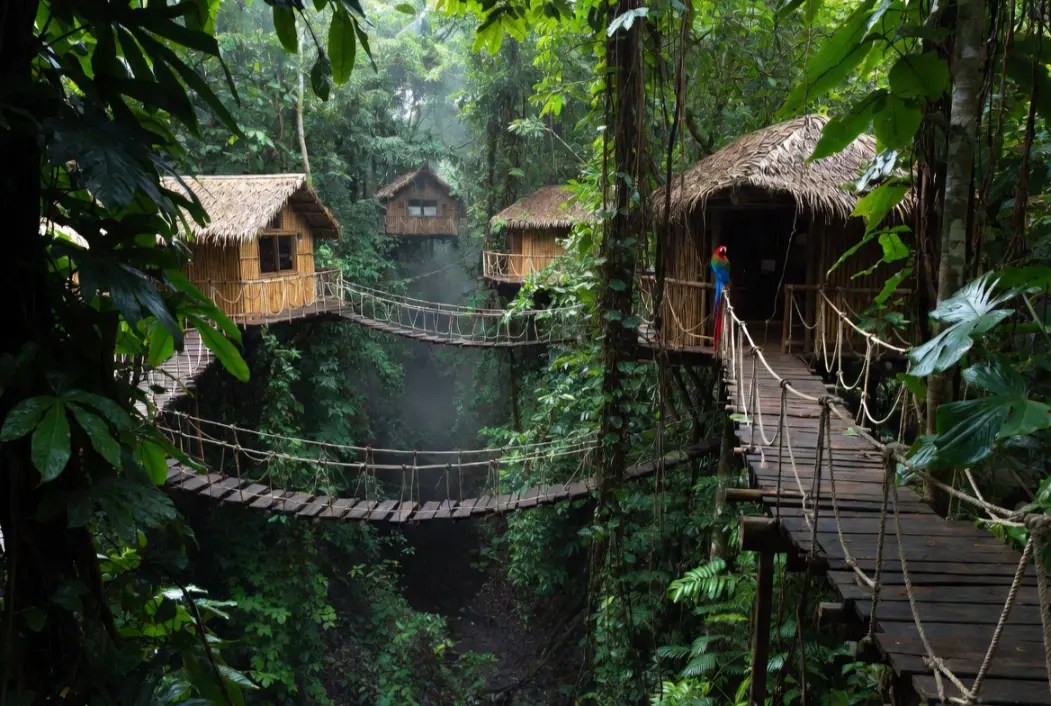unique hotels
Treehouse Lodge, Amazon Rainforest, Peru