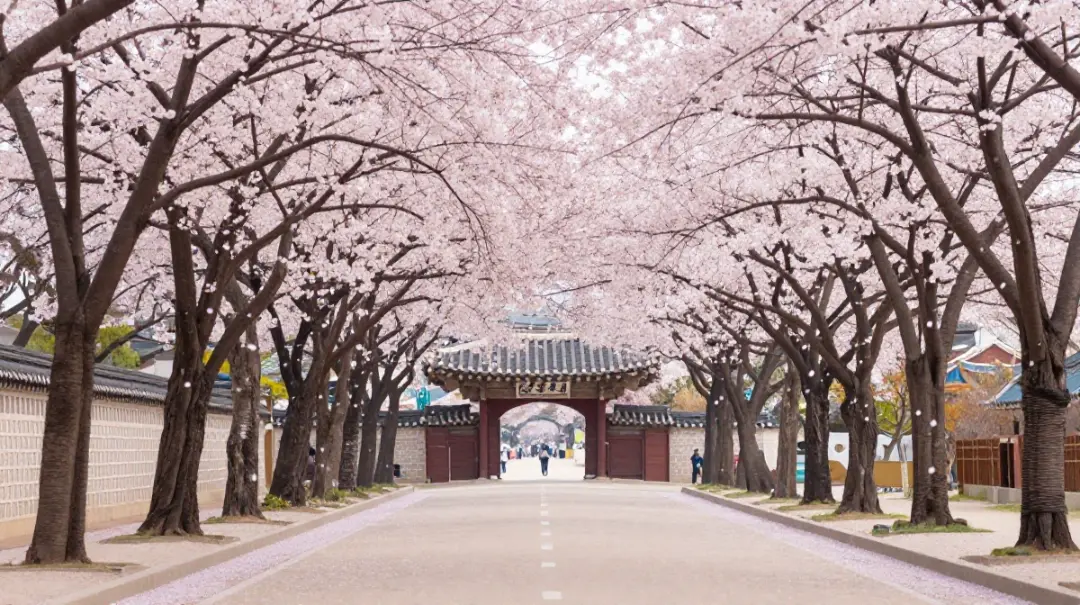 dream destinations travel bucket
South Korea