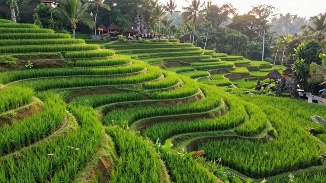 dream destinations travel bucket 2 Bali, Indonesia