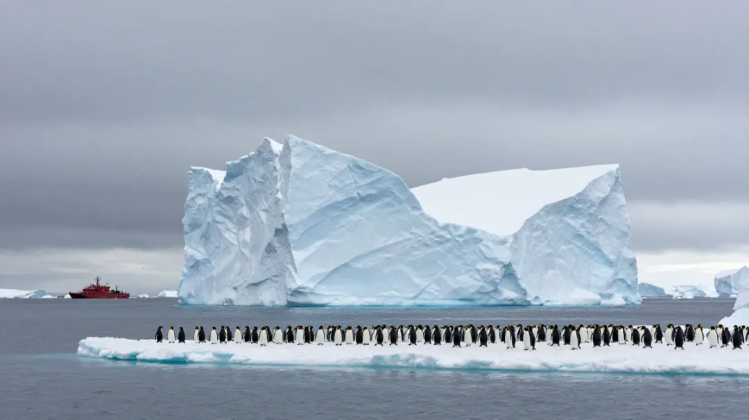 dream destinations travel bucket
Antarctica